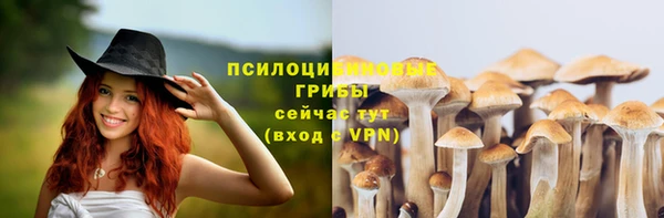 трава Зеленодольск