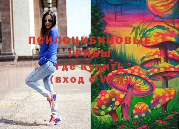 ГАЛЛЮЦИНОГЕННЫЕ ГРИБЫ Зерноград